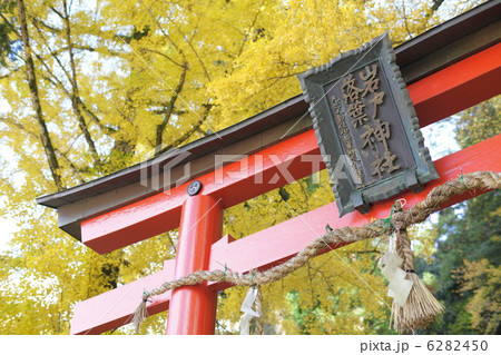 岩戸落葉神社 岩戸落葉神社 6282450