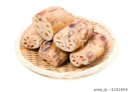 レンコン レンコン 6282804