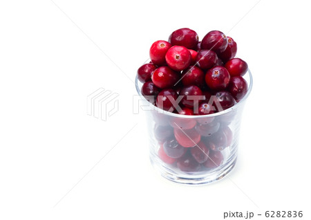 クランベリー 6282836