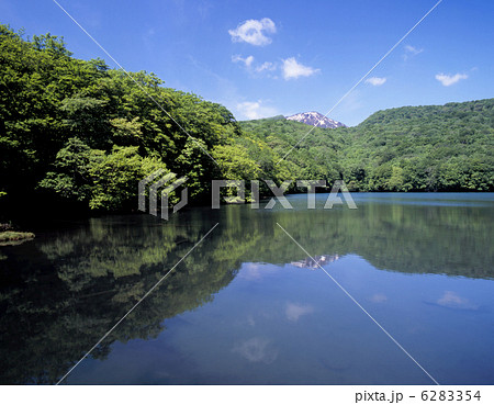 新緑の蔦沼 6283354