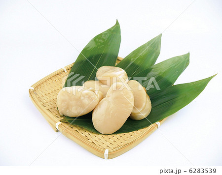 タイラギ貝柱 タイラギ貝柱 6283539