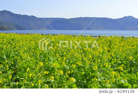 春の池田湖 春の池田湖 6284136