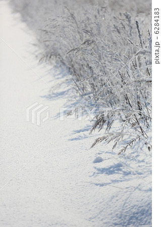 winter winter 6284183