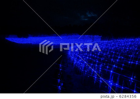 なばなの里 6284356