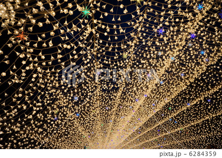 なばなの里 6284359