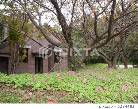 芸予要塞（発電所跡） 6284482