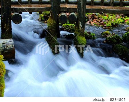 京極の湧水 京極の湧水 6284805