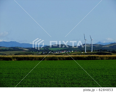 晩秋の丘 6284853