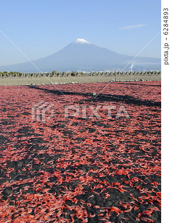 桜エビと富士山 桜エビと富士山 6284893