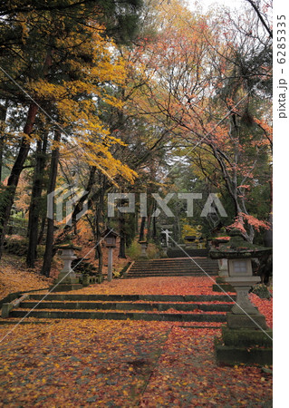 日枝神社の紅葉参道 日枝神社の紅葉参道 6285335
