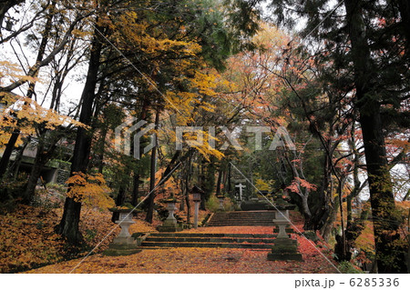 日枝神社の紅葉参道 6285336