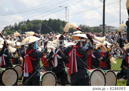 壬生の花田植 壬生の花田植 6286065