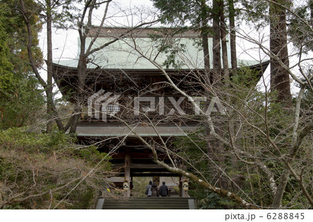円覚寺山門 円覚寺山門 6288845