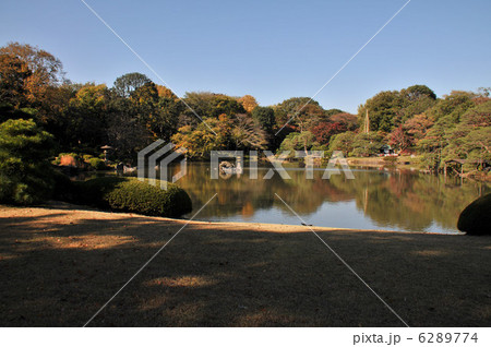 六義園 和歌浦 六義園 和歌浦 6289774