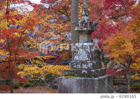 近江地方の永源寺の秋 6290165