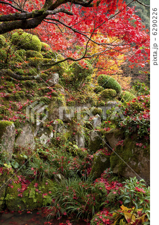 湖東三山の金剛輪寺 6290226