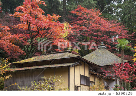 湖東三山の金剛輪寺 湖東三山の金剛輪寺 6290229
