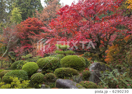 湖東三山の金剛輪寺 6290230