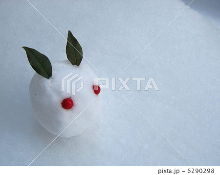 雪うさぎ 6290298