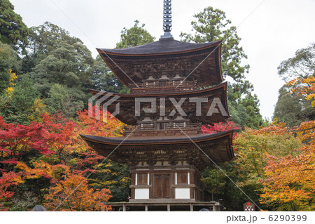 湖東三山の西明寺 6290399