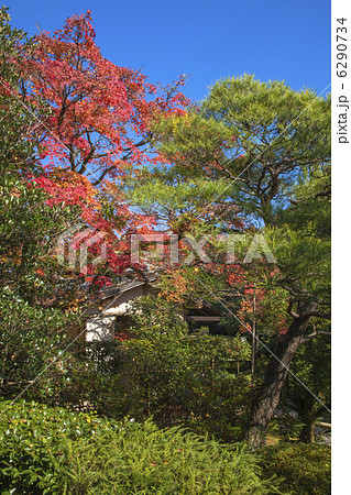 光悦寺の秋 光悦寺の秋 6290734