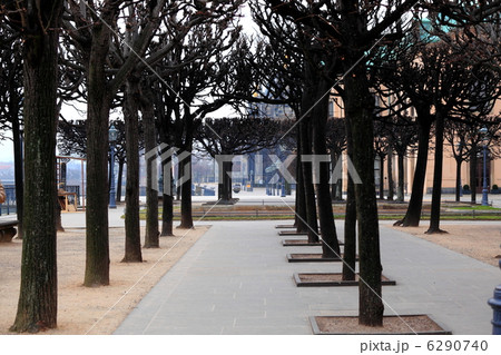 ドレスデン ドレスデン 6290740