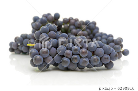 ripe grapes on a white background ripe grapes on a white background 6290916