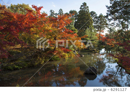 等持院の秋 等持院の秋 6291127