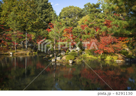 等持院の秋 6291130