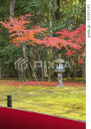 等持院の秋 6291145