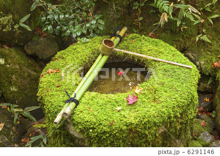 等持院の秋 6291146