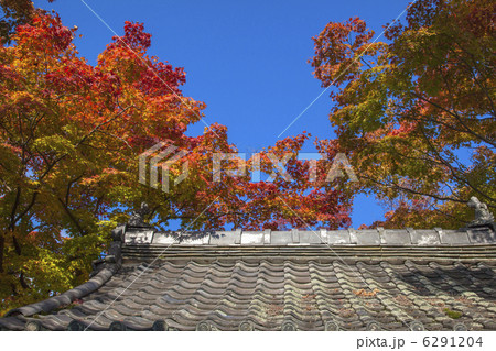 源光庵の秋 6291204