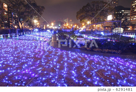 大阪光のルネサンス-芝生エリアオールブルー- 6291481