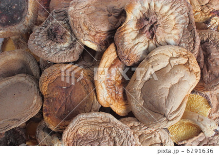 干し椎茸 6291636