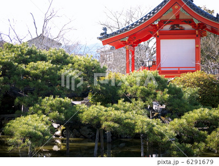 神社と名松 6291679