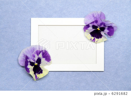 パンジーの花のメッセージボード 6291682