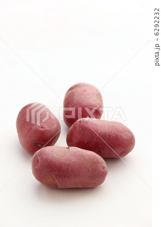 ドラゴンレッド ドラゴンレッド 6292232