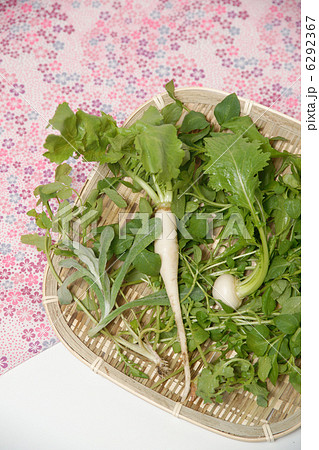 春の七草 6292367