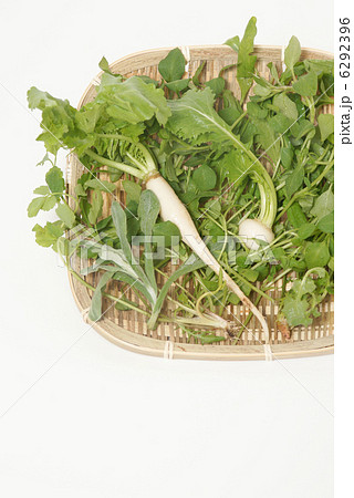 春の七草 6292396