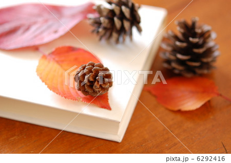 秋イメージ 6292416