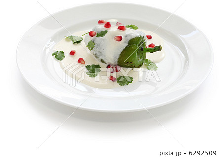 チレ・エン・ノガーダ 6292509