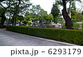 墓地の細道 6293179
