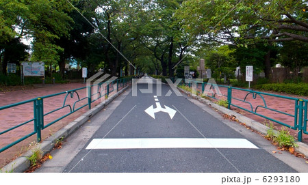 直線道路 6293180