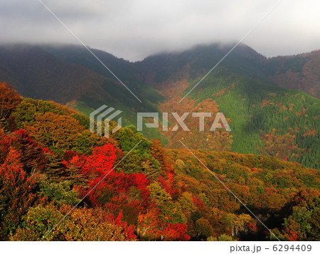 萌える秋 萌える秋 6294409