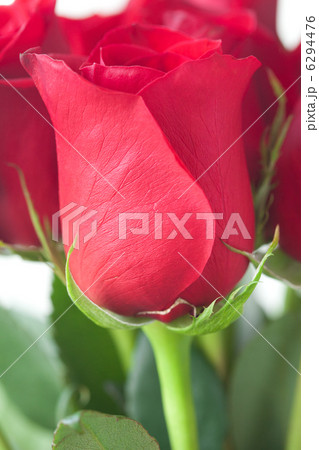 beautiful bouquet of red roses isolated on white 6294476