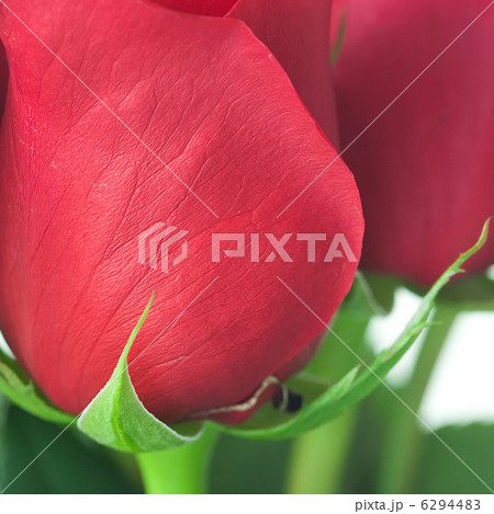 background of a beautiful bouquet of red roses 6294483