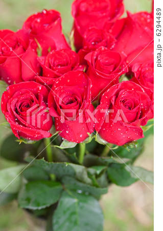 beautiful bouquet of red roses with water drops 6294489