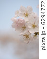 桜 6294772