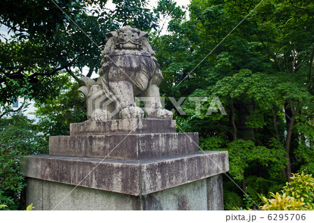 晴明神社の狛犬 晴明神社の狛犬 6295706