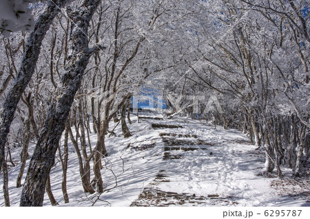 雪の山道 雪の山道 6295787